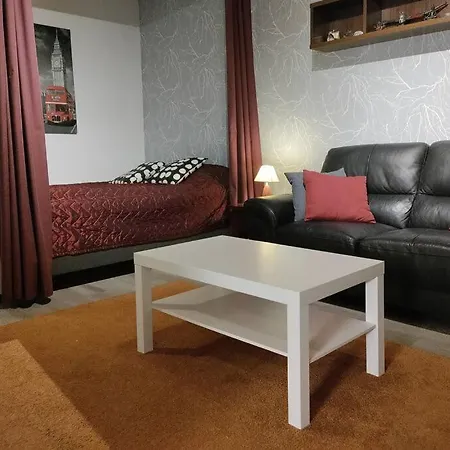 Rauhallinen Upea Yksioe Keskustassa Omalla Autopaikalla *